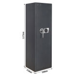 Rottner Dakota Basic Waffenschrank mit Elektronikschloss EM2020