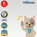 Müller Safe DIK 1147 Datensicherungsschrank mit Elektronikschloss Titan