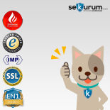 Rottner Fire Hero 65 Premium Brandschutztresor mit Schlüsselschloss