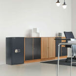 Rottner Power Safe 800 Möbeltresor mit Elektronikschloss PS310