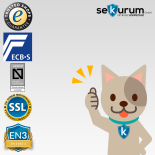 CLES protect AR6 Wertschutztresor mit Elektronikschloss TULOX