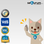 Format Gemini Pro D-I 250 Einwurftresor mit Schlüsselschloss