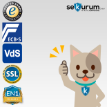 Format Cervo V Kombi Waffenschrank mit Elektronikschloss Spartan 1007