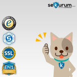 Rottner Delta 30 Wandtresor mit Elektronikschloss PRIMOR