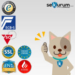 Rottner Atlas Fire 45 Premium Wertschutzschrank mit Elektronikschloss PS610